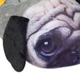 Pantufa-Pug-Europa-34-35