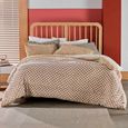 Edredom-Queen-Size-Altenburg-Blend-Comfort-Duo-Poa-Marrom