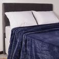 Cobertor-Casal-Corttex-Living-Art-Soft-500-180x220cm-Marinho
