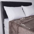 Cobertor-King-Size-Corttex-Living-Art-Soft-500-240x260cm-Taupe