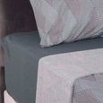 Jogo-de-Cama-Queen-Size-150-Fios-Corttex-4-Pecas-Attuale-Estampa-3