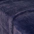 Cobertor-Queen-Size-Corttex-Living-Art-Soft-500-220x240cm-Marinho