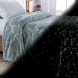 Manta-Solteiro-Corttex-Brilha-no-Escuro-Shine-150x200cm-Dino