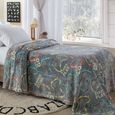 Manta-Solteiro-Corttex-Brilha-no-Escuro-Shine-150x200cm-Play