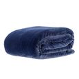 Cobertor-Casal-Corttex-Living-Art-Lumini-300-180x220cm-Marinho