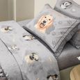 Jogo-de-Cama-Solteiro-King-Karsten-200-Fios-3-Pecas-Dog