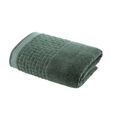 Toalha-de-Rosto-Super-Soft-Zero-Twist-Corttex-Geometrico-500-g-m²-Verde