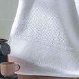 Pano-de-Copa-Felpudo-Jacquard-para-Bordar-45x70cm-Dohler-Vitoria-L