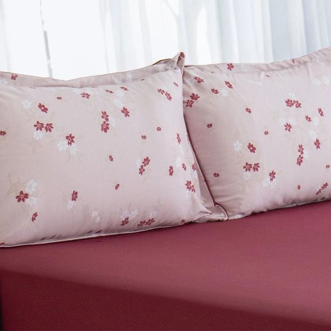 Jogo de Lençol e Fronha King Size Bella Enxovais Malha 100% Algodão 3 Peças Cloud Mia